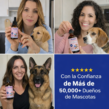 Colágeno Triple para Perros