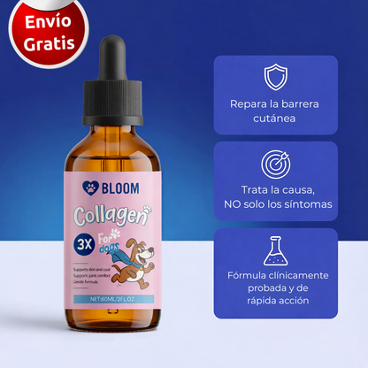 Colágeno Triple para Perros